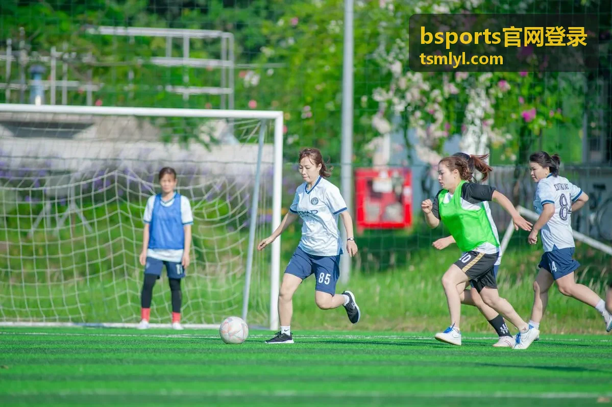 bsports官网登录校验环节与异常提示处理示意