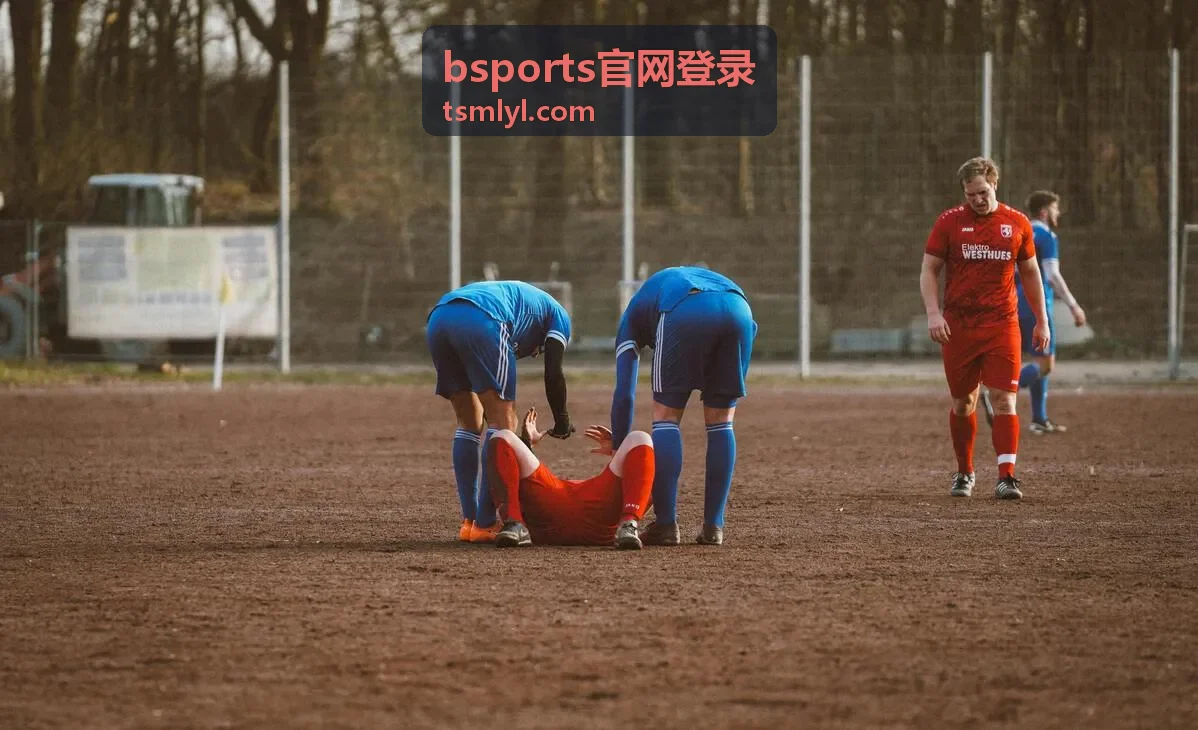 bsports官网登录入口识别与账号填写步骤配图