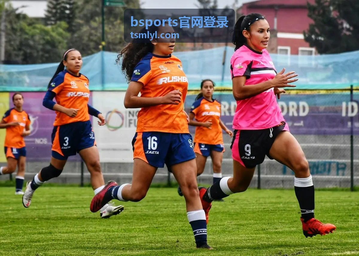 bsports官网登录帮助与常见问题页面排查示意
