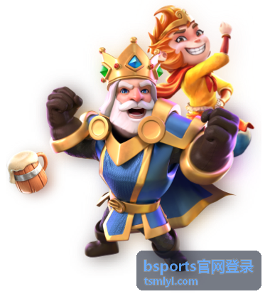 bsports官网登录赛事与功能模块使用配图